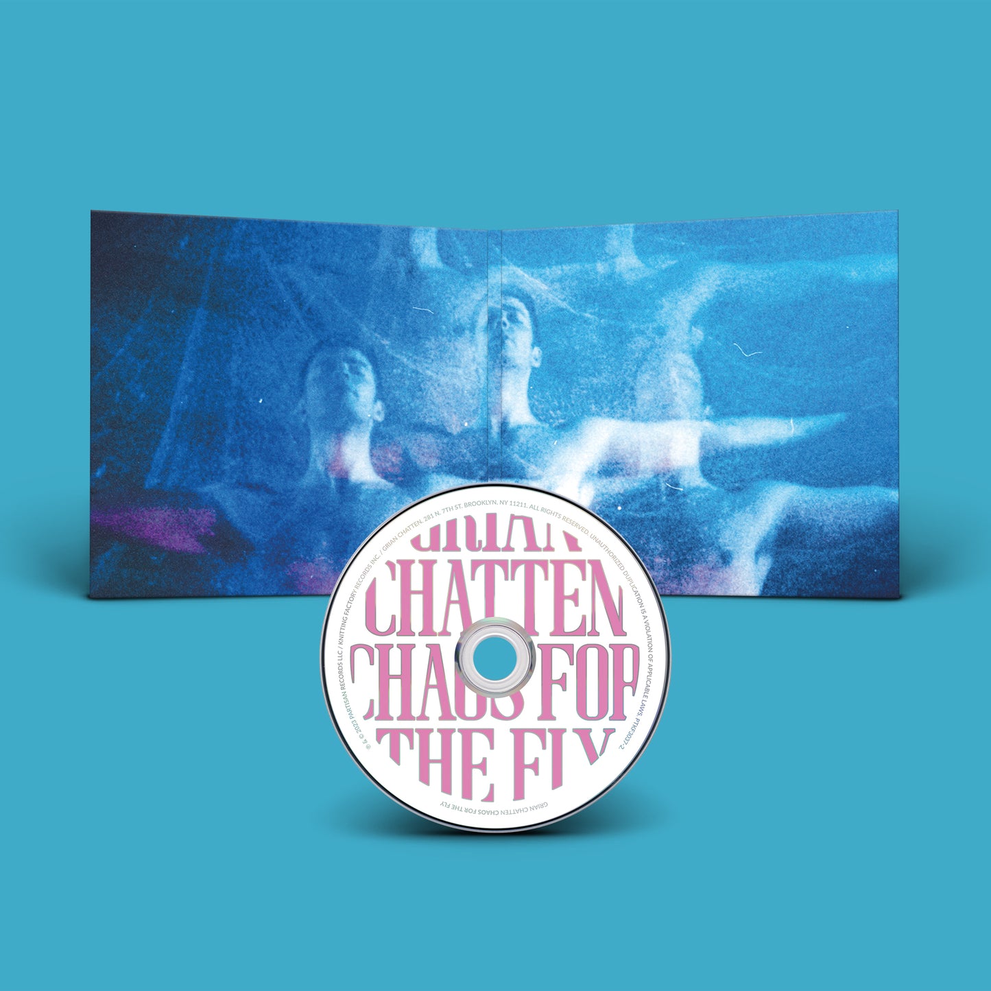 Chaos For The Fly (CD)