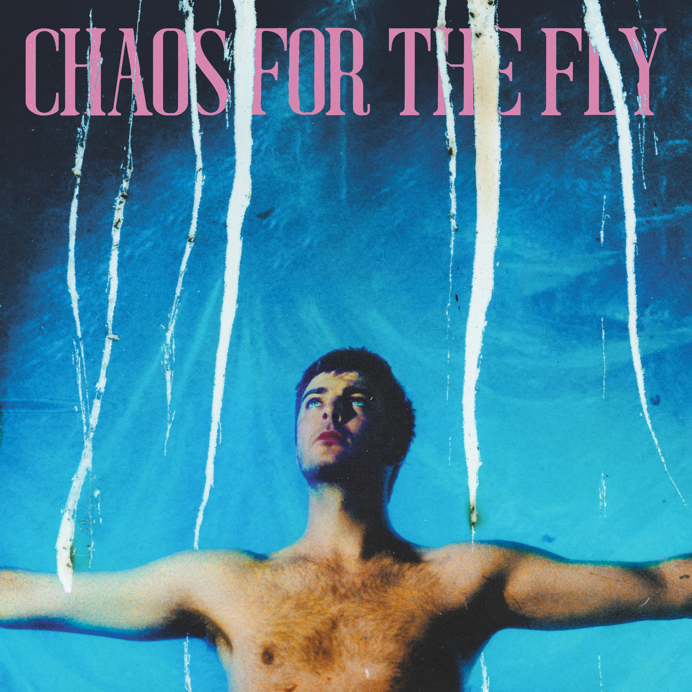 Chaos For The Fly (Digital Album)