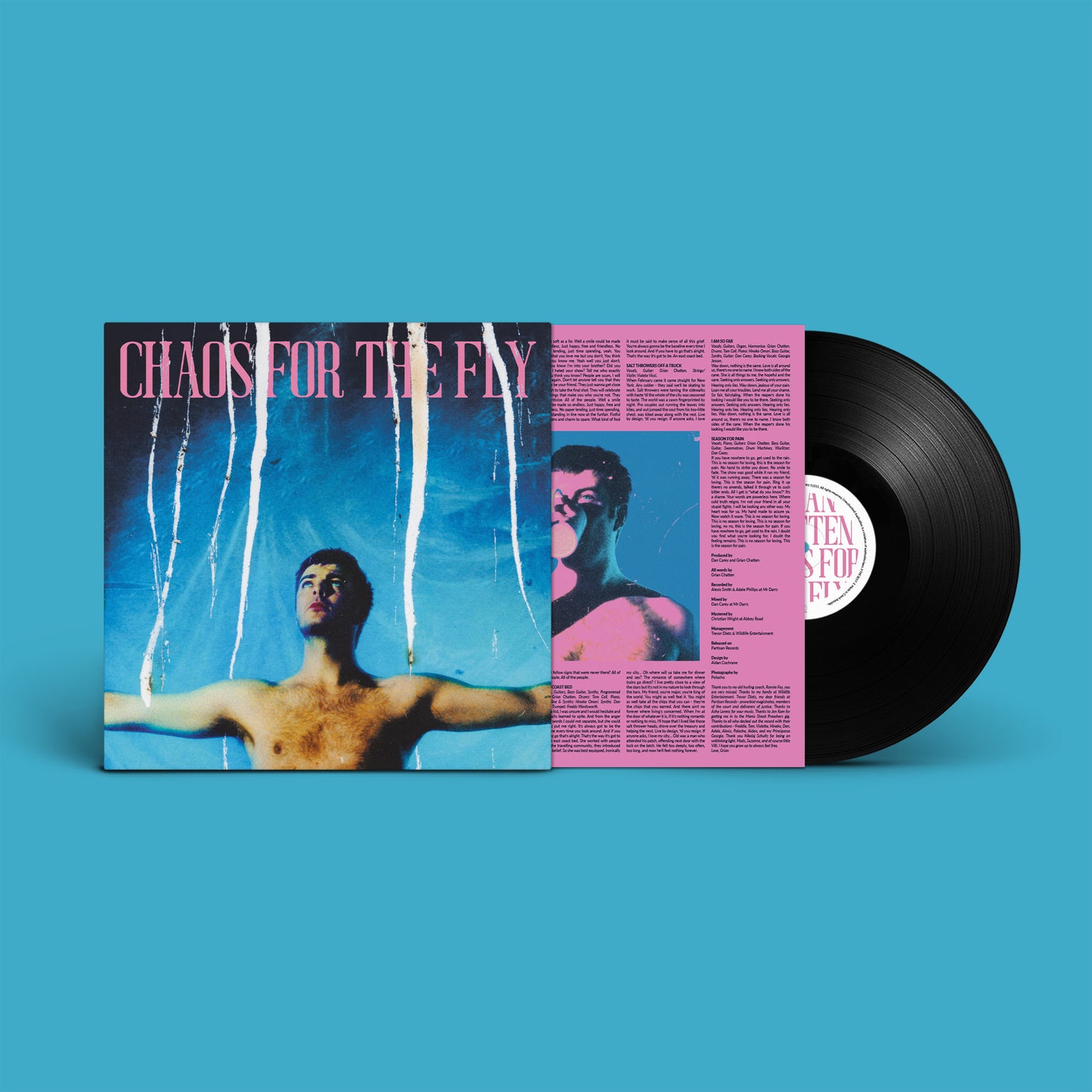 Chaos For The Fly (LP)